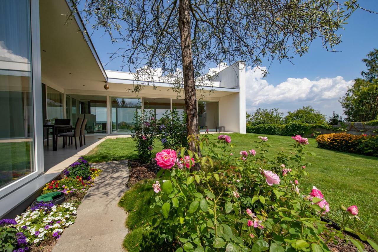 Country Lake Villa Breitenbrunn  Exteriér fotografie